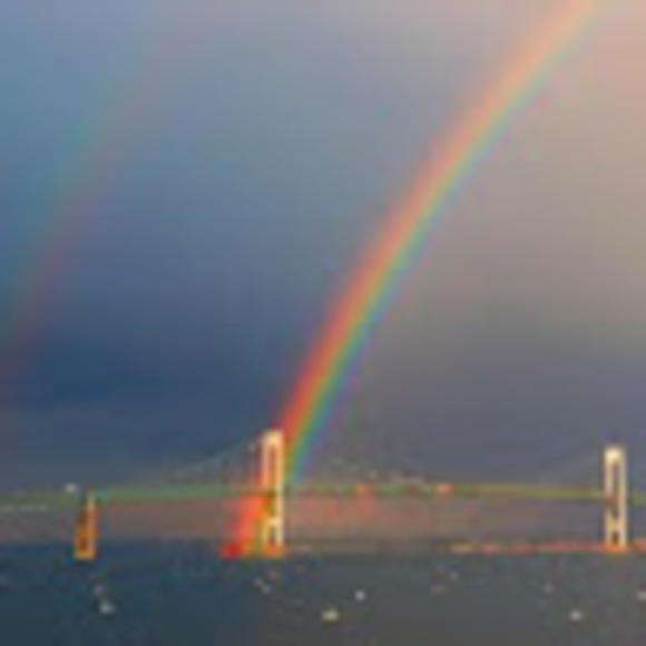 Meet your Posher, Robin - Picture 1 of 1